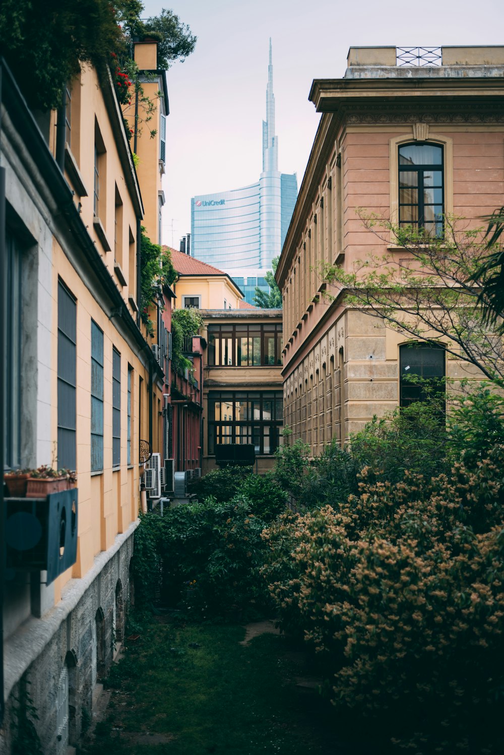 photo of houses surrounded by plants and flowers