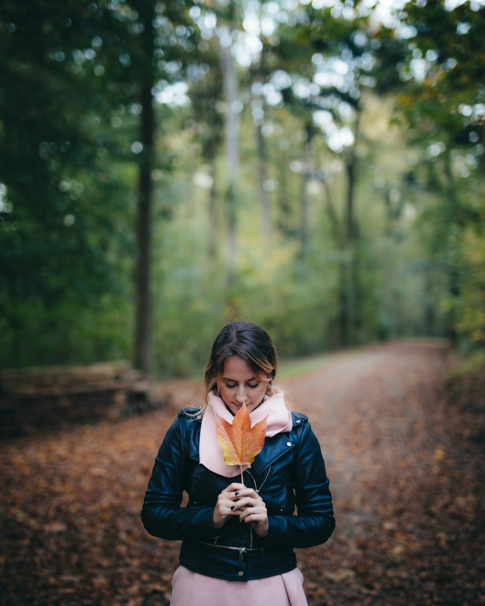 woman holding maple leaf near tall trees at daytime