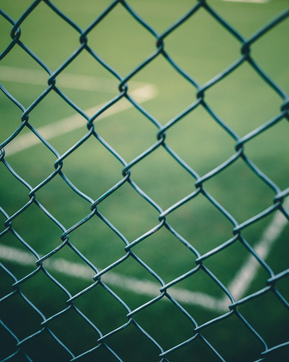 close-up photography of fences