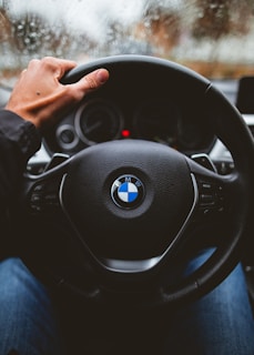 person holding BMW vehicle steering wheel