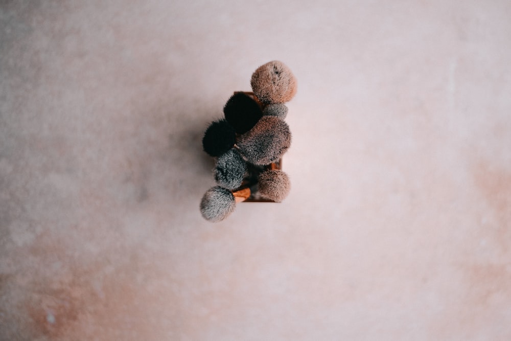 brown foam on beige surface