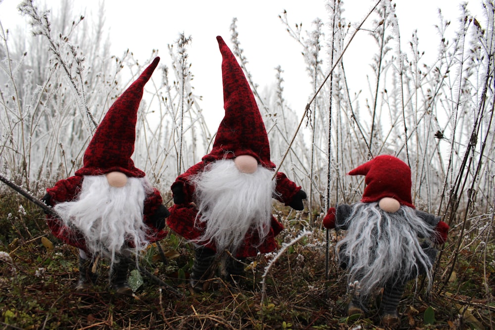 Tres gnomos navideños en la hierba