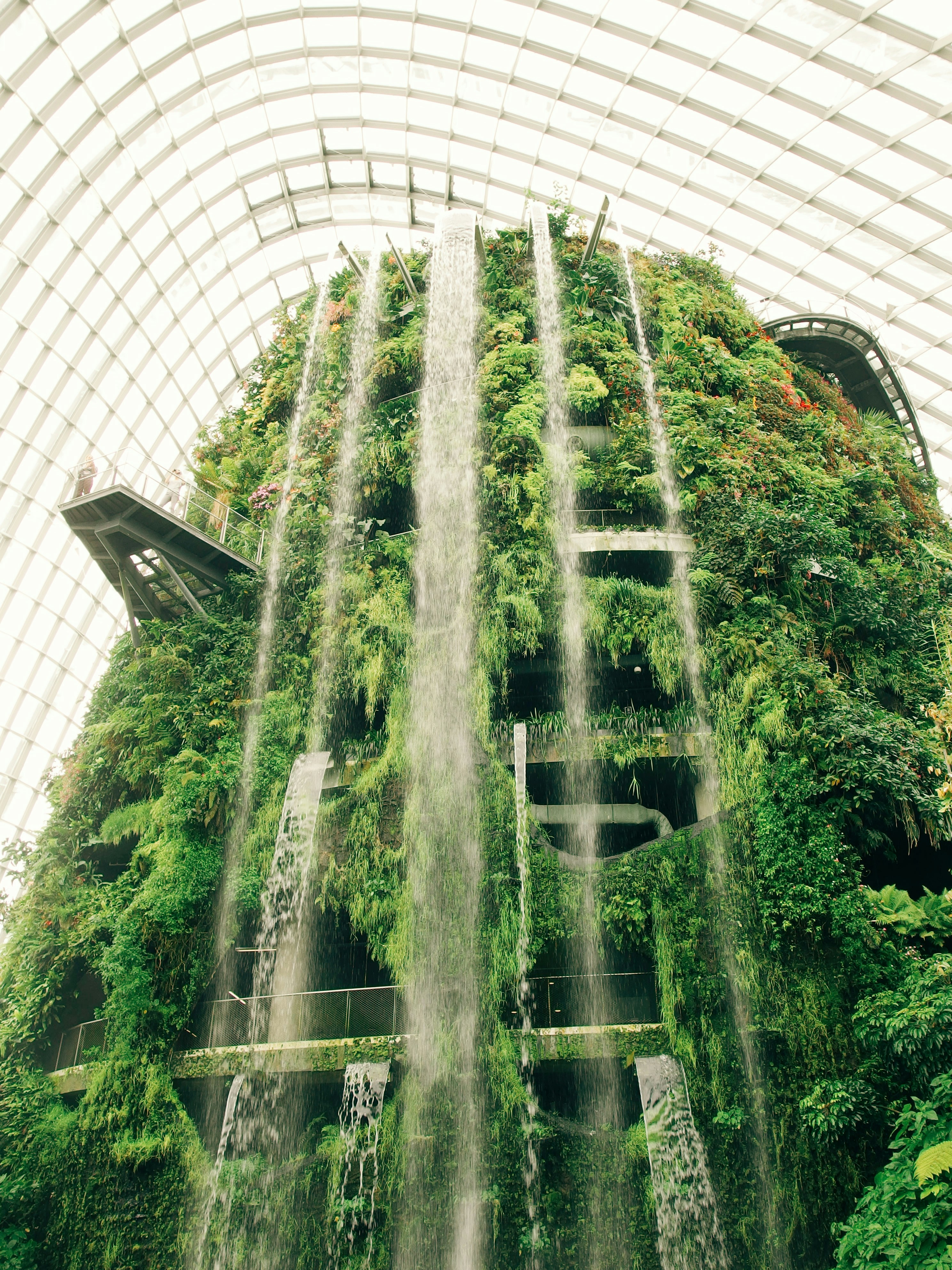 Wind turbines standing on a grassy plain, against a blue sky.