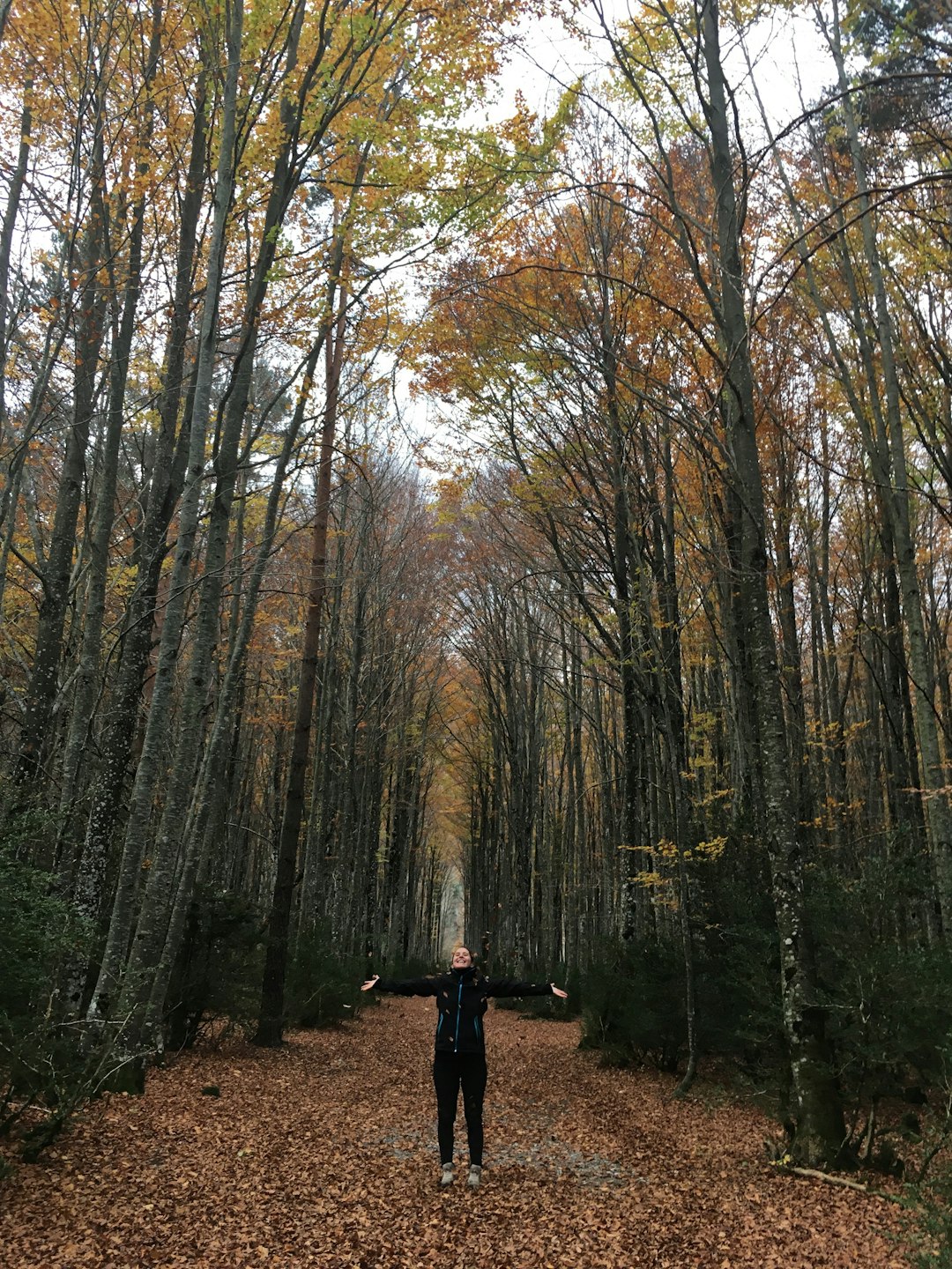 Forest photo spot Isaba Spain