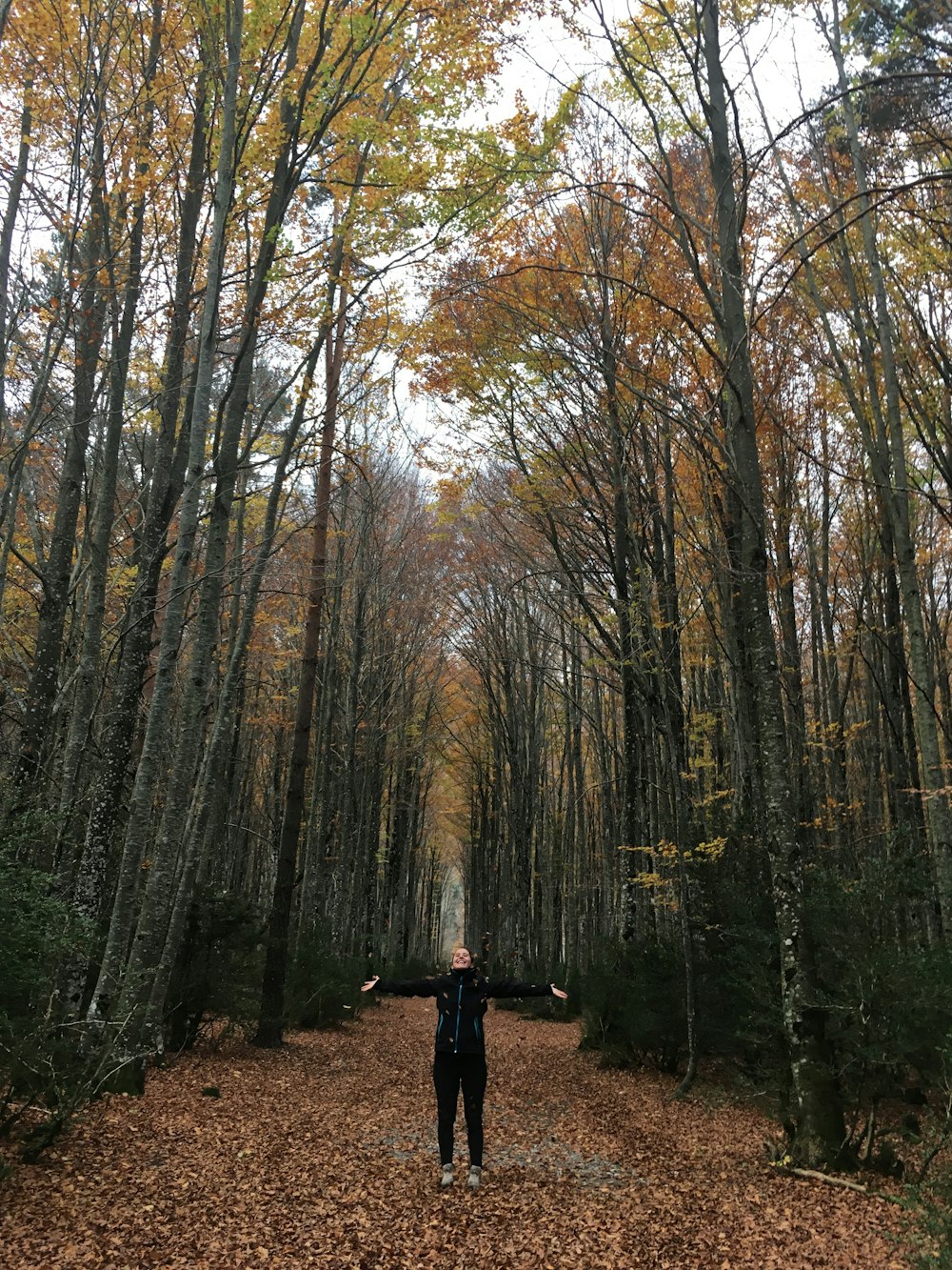 man walking in the woods