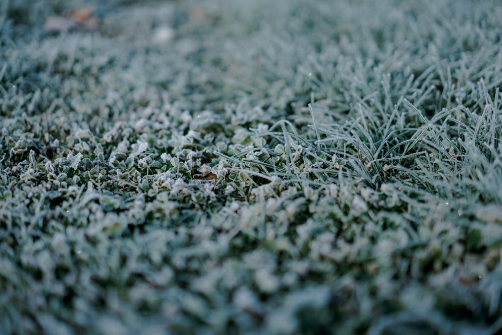 macro shot photography of gray soil