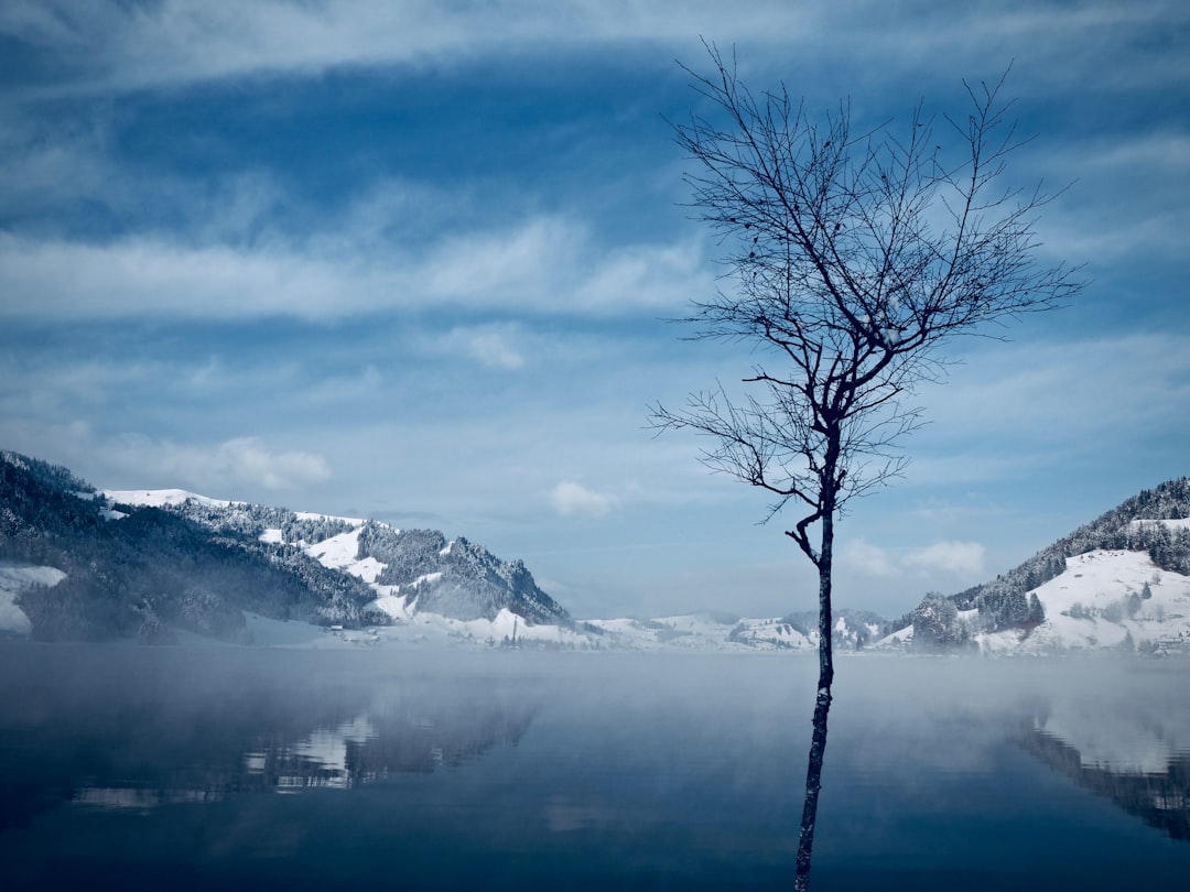 travelers stories about Mountain in Euthal, Switzerland