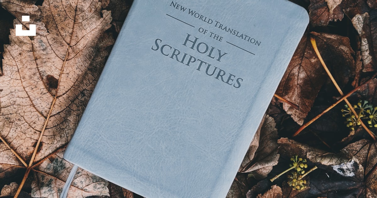 Holy Scriptures book photo – Free Grey Image on Unsplash