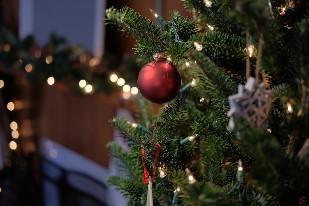 shallow focus of bauble ball