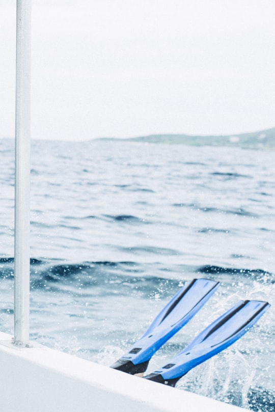 person diving with blue flippers in Roatán Honduras