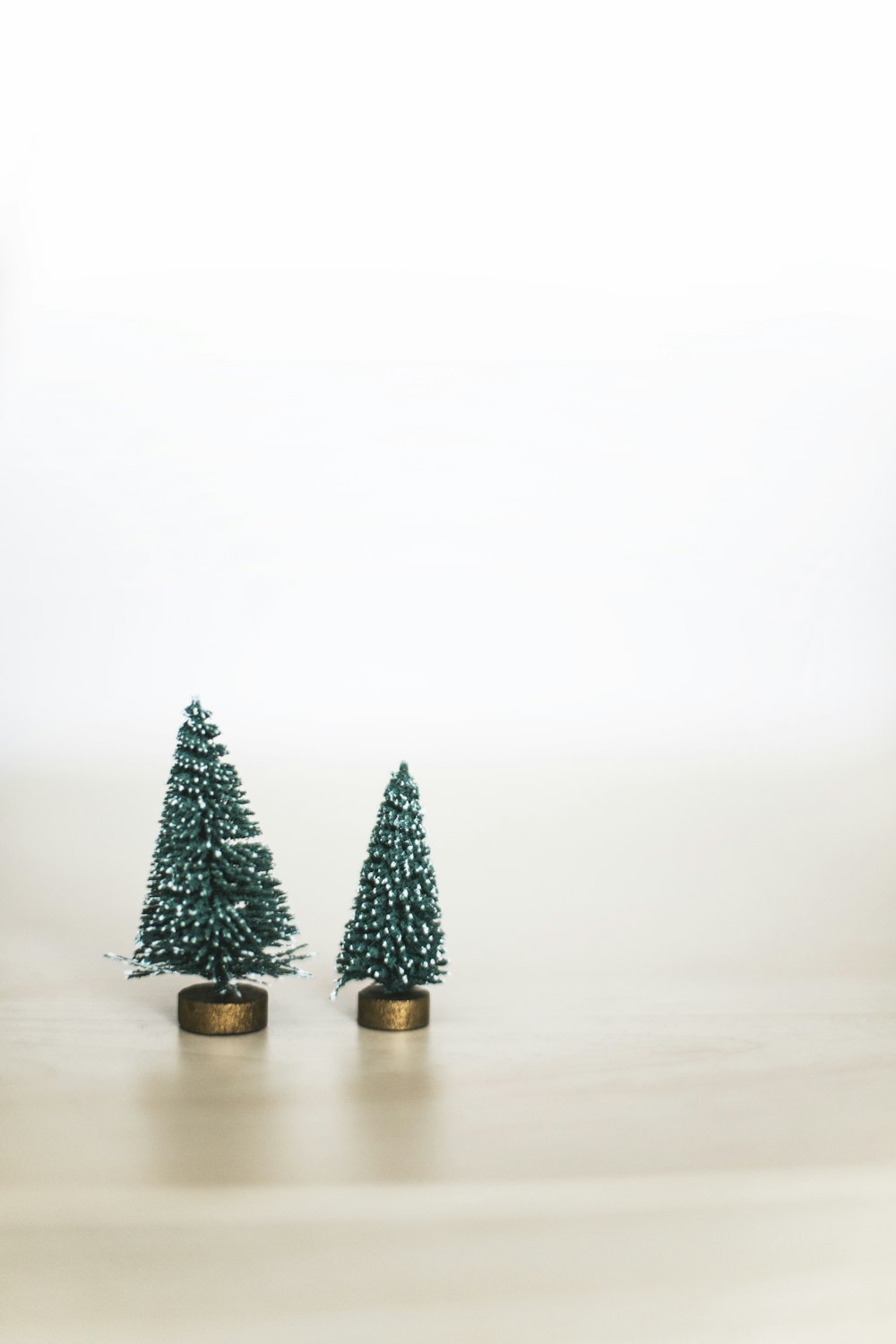 two green pine trees