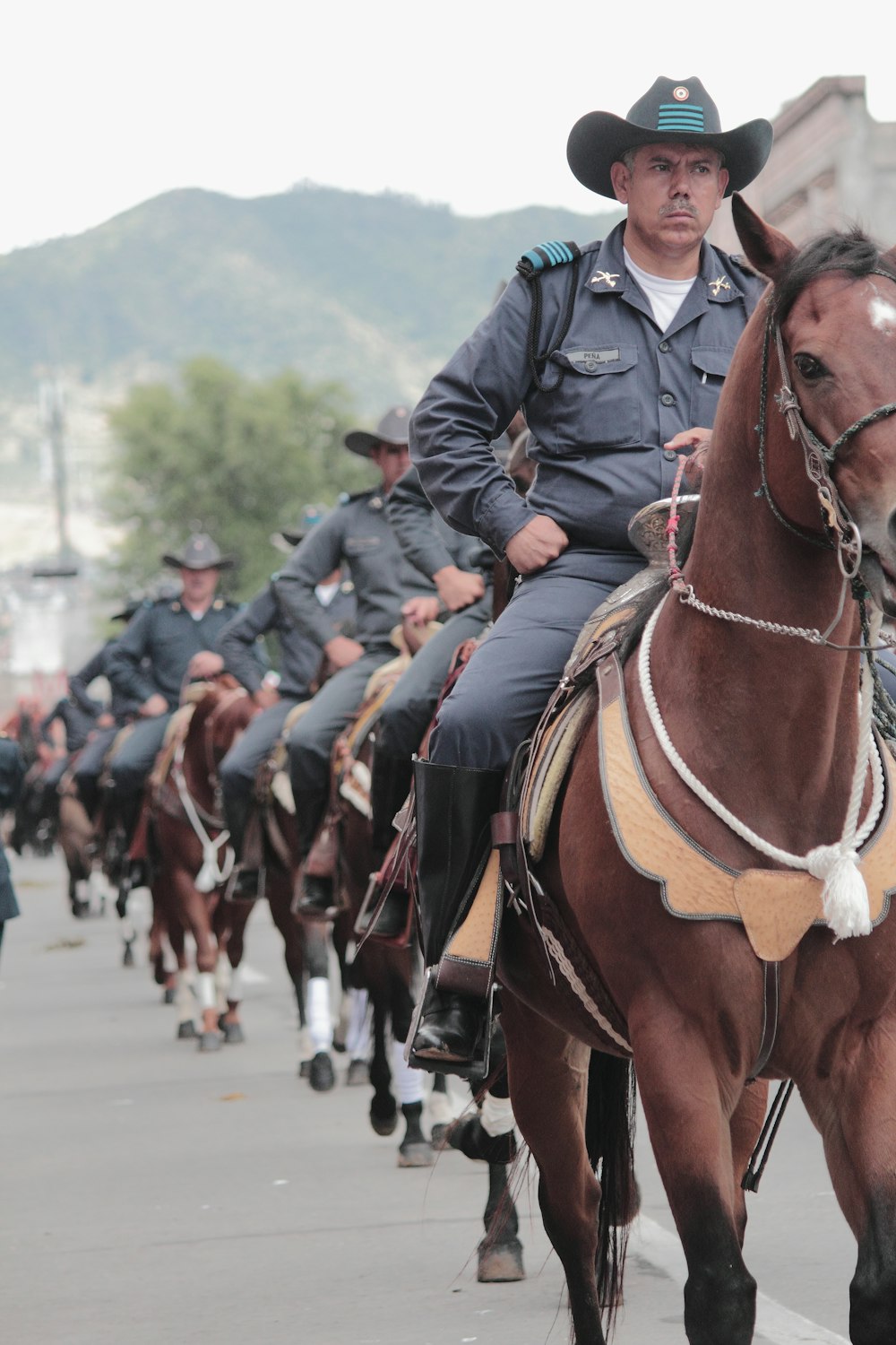 police man riding brown horse