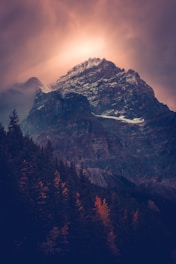 photo of mountain with trees in vicinity