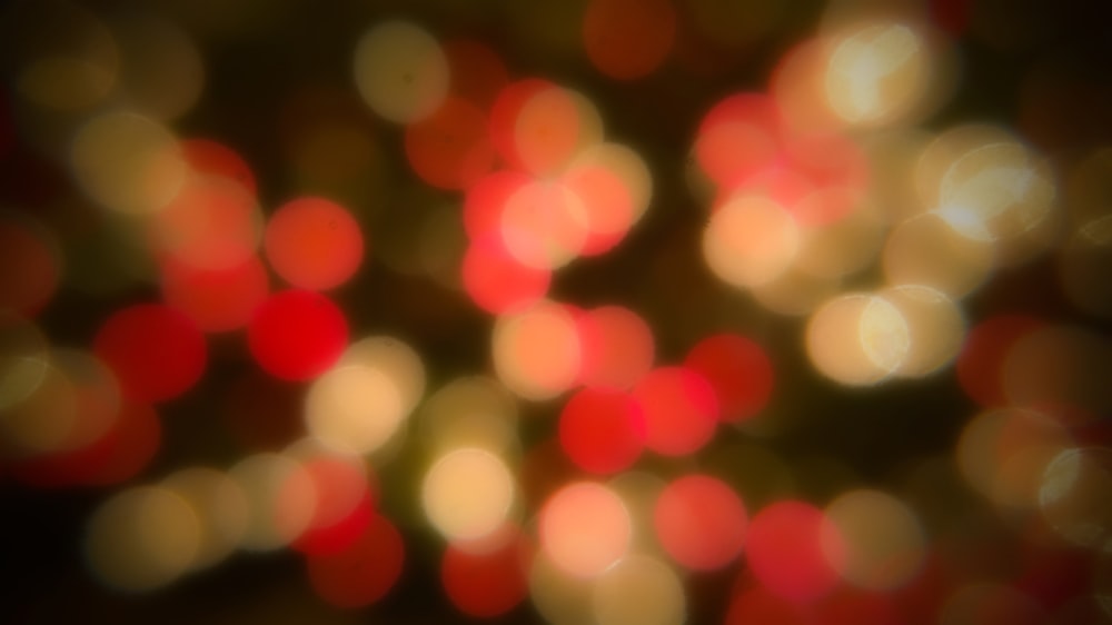 red and white bokeh lights