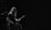 A musician with long hair is playing an electric guitar and standing in front of a microphone. The scene is dimly lit, creating a moody atmosphere with a focus on the performer.