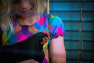 A child with blonde hair is holding a black chicken. The child is wearing a colorful, geometric-patterned shirt. The background features a patterned surface with horizontal lines and a metal chain hanging on the right side.