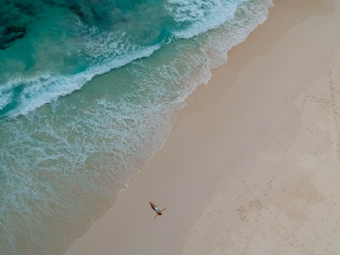 birds eye photography of person near body of water