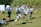 team playing rugby sport