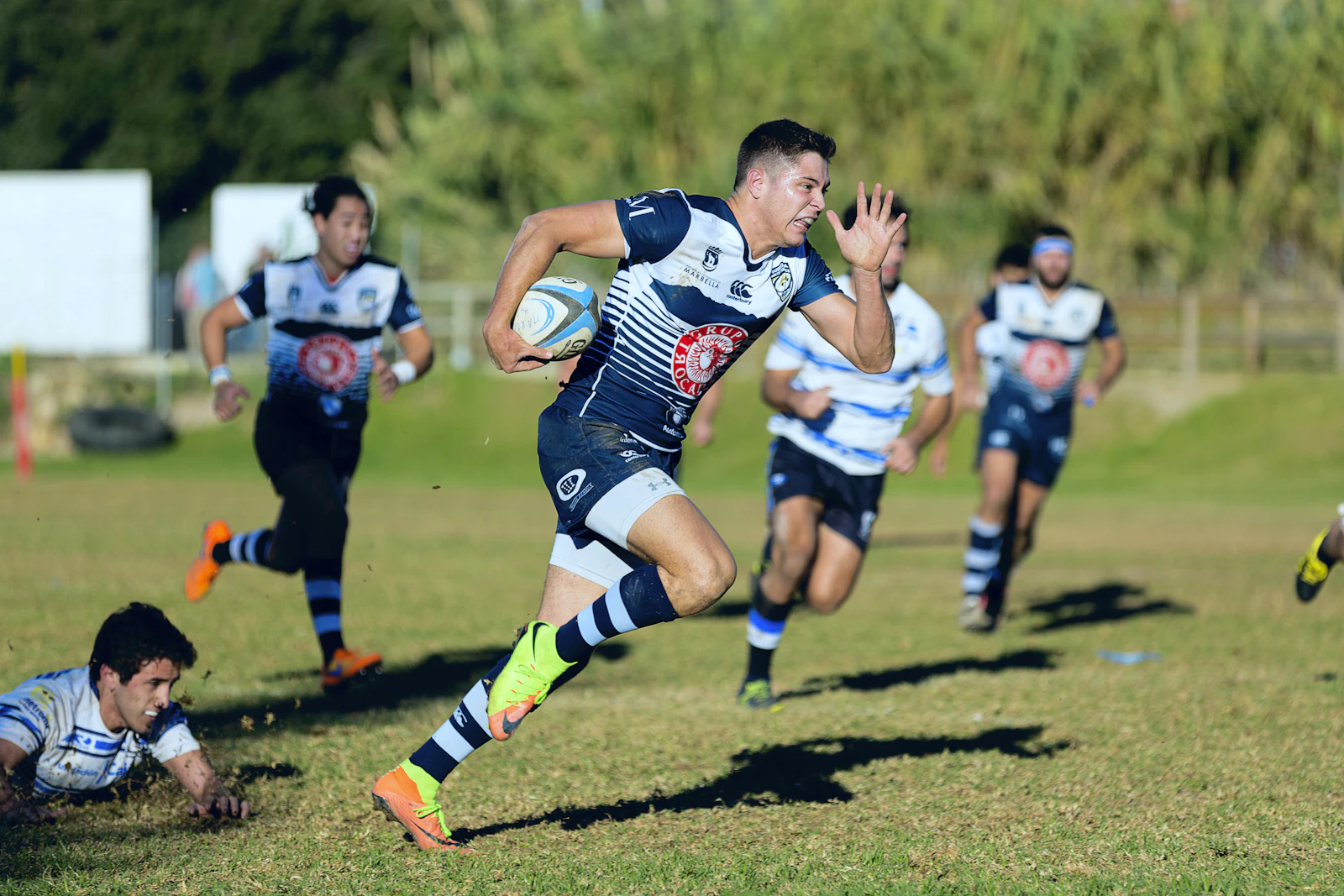 Jugadores de rugby en pleno partido