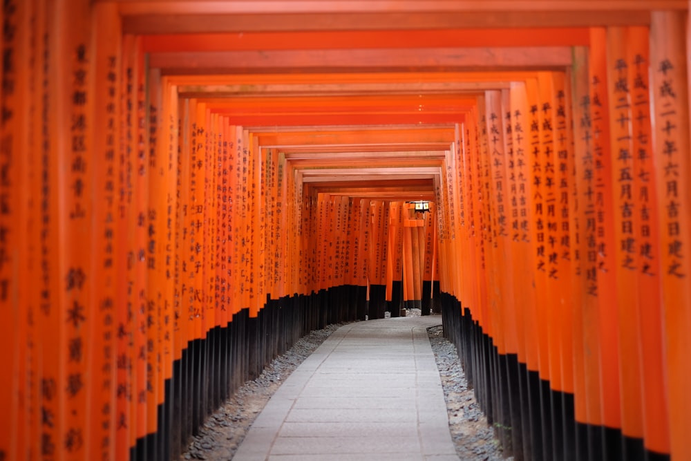 photo of red and black pathway passage