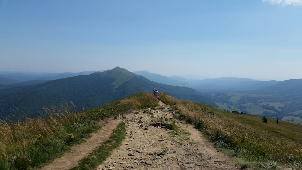 Forest Trails & Peaks