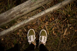 A pair of sturdy green running shoes on a trail path.
