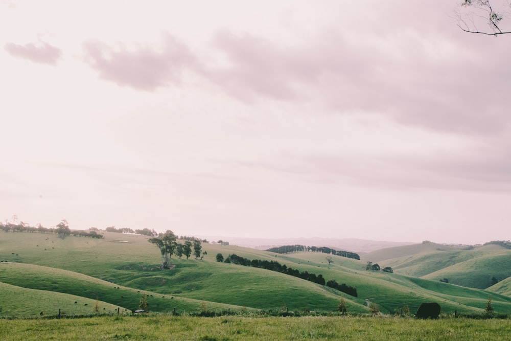 green hill and field under white clouds during daytime