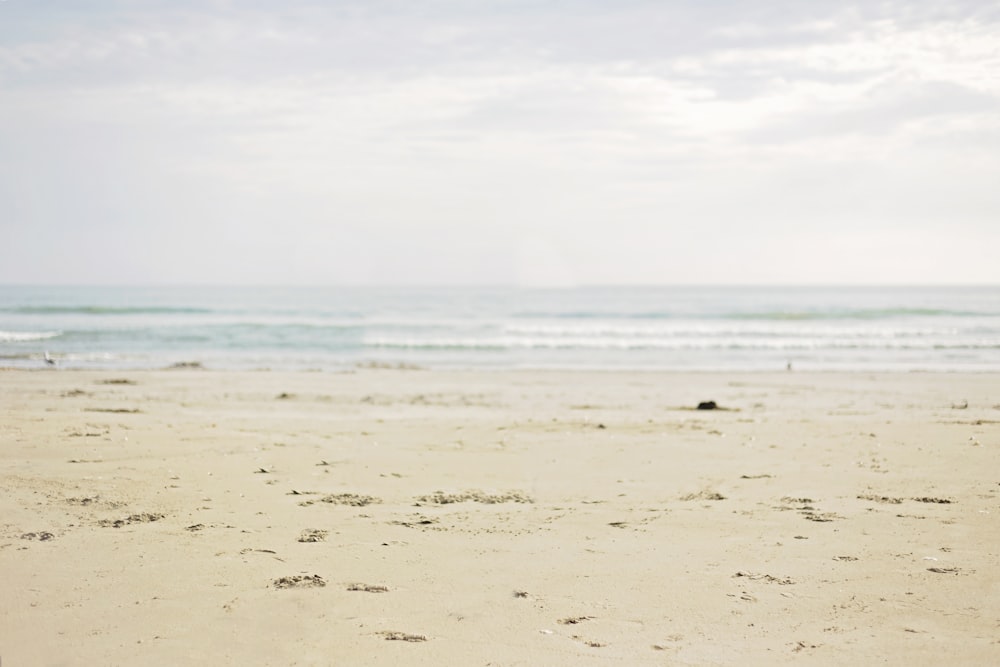 white sand and rippling body of water