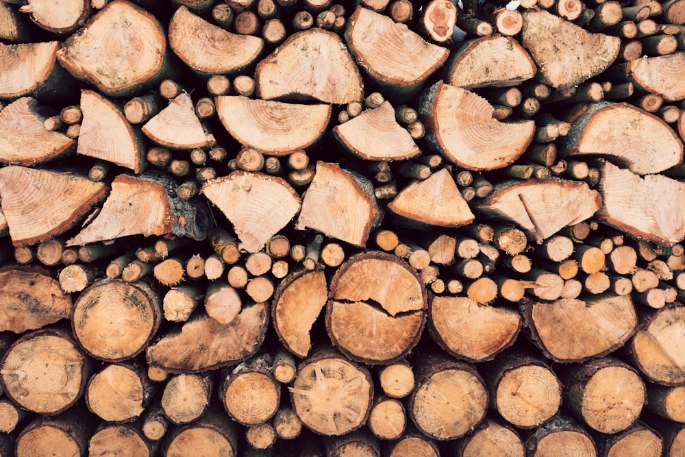 closeup photography of firewood