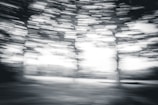 Blurred black and white image depicting several trees with a strong motion effect, creating a sense of movement. The background is abstract and indistinct, contributing to the dynamic feel of the photograph.