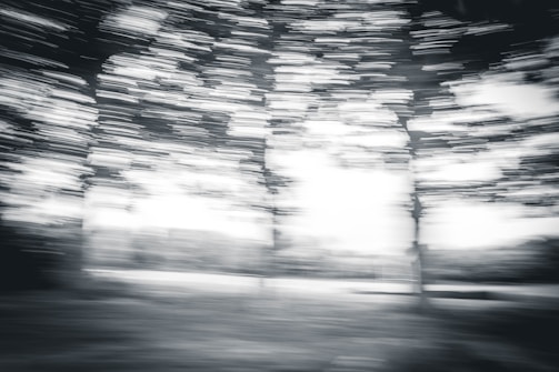 Blurred black and white image depicting several trees with a strong motion effect, creating a sense of movement. The background is abstract and indistinct, contributing to the dynamic feel of the photograph.