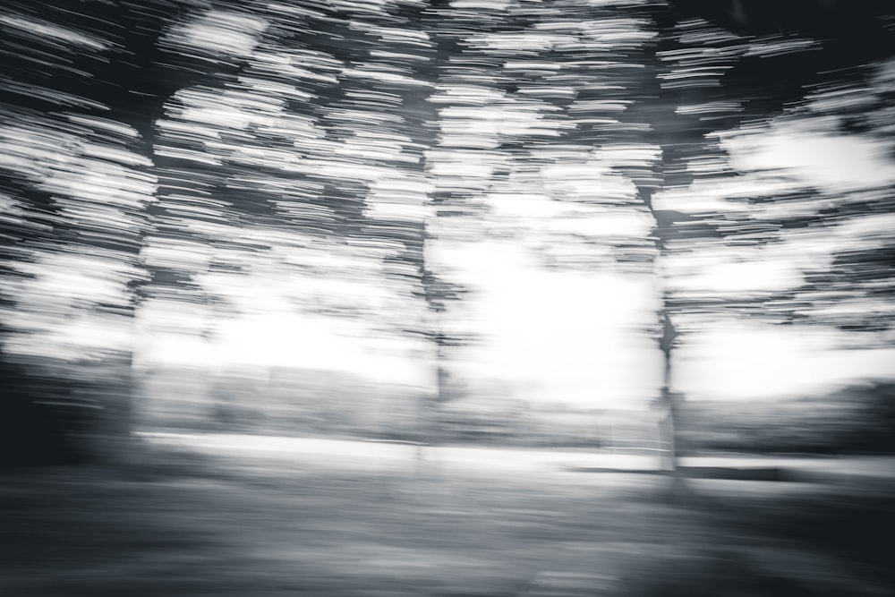 a blurry photo of trees in a forest