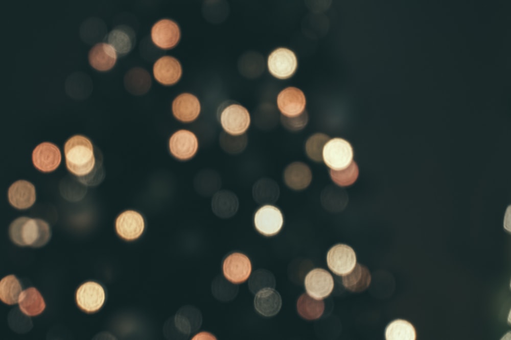 bokeh photography wallpaper