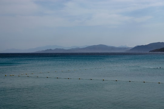 photo of L'Île-Rousse Beach near Regional Natural Park of Corsica