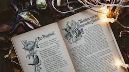 book open surrounded by lights and leaves