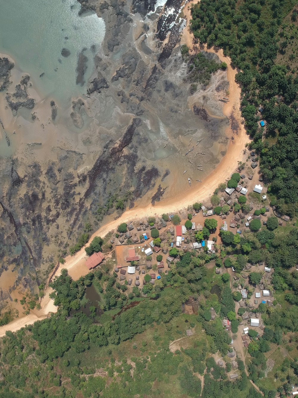 aerial photography of house and green trees