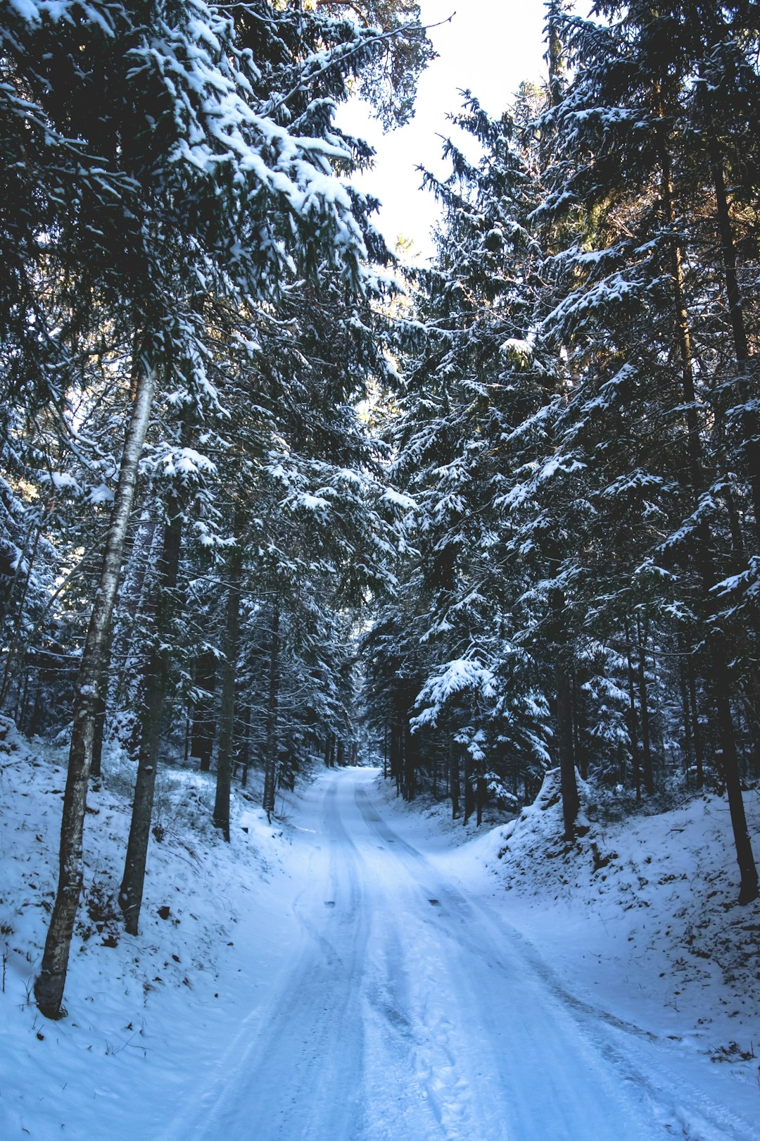 Natural landscape photo spot SkaÅ†aiskalns Nature Park Ainaži