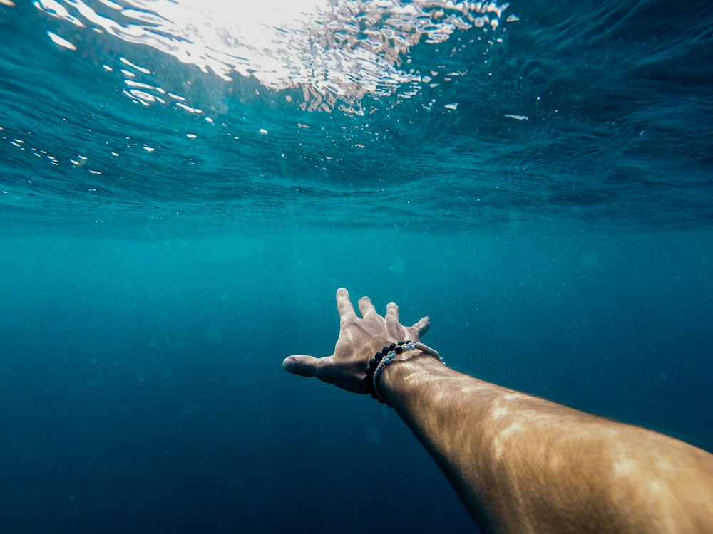 la mano derecha de la persona bajo el agua