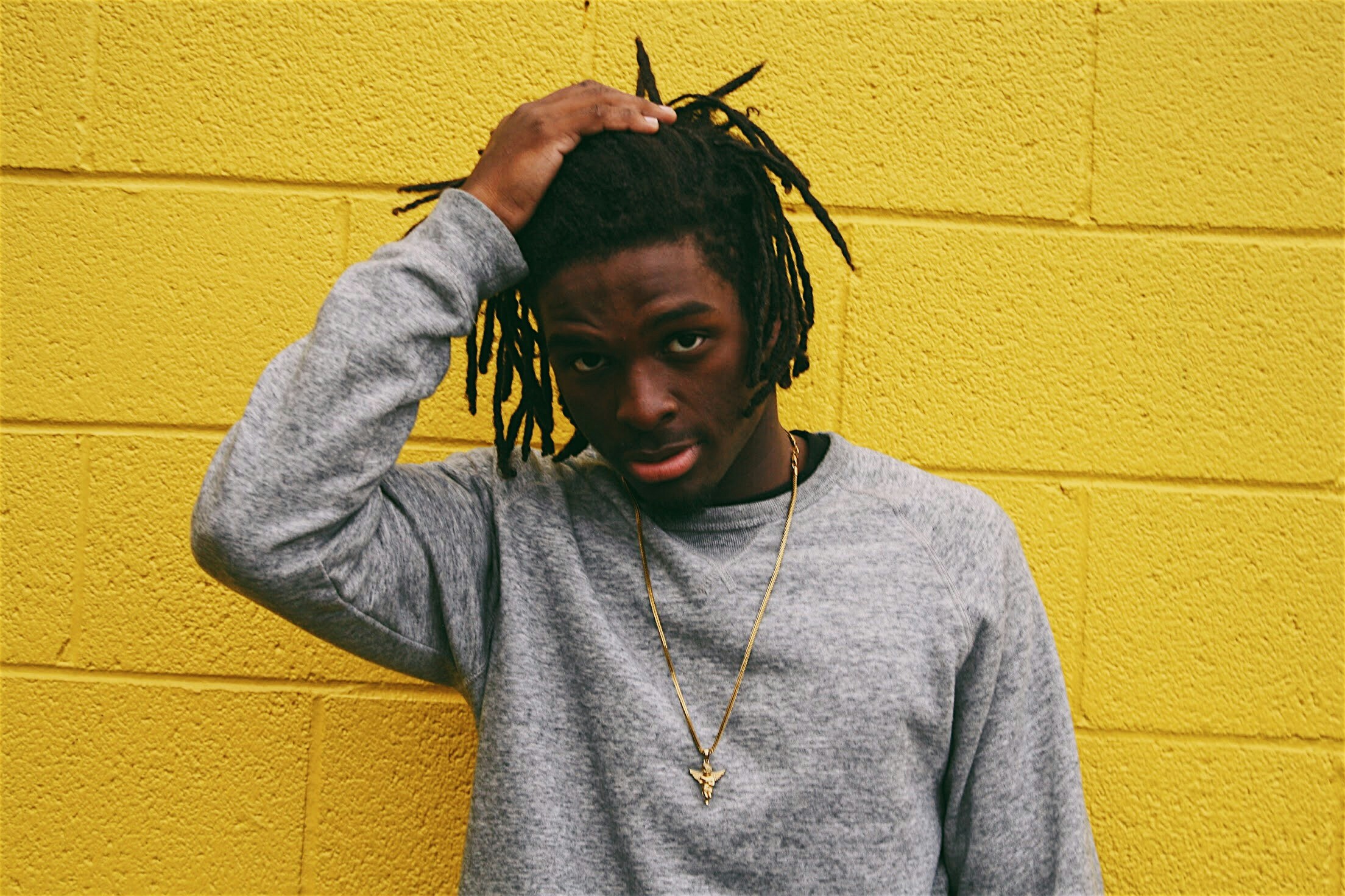 신안 선도 수선화 축제, 섬 전체를 물들이는 노란 물결