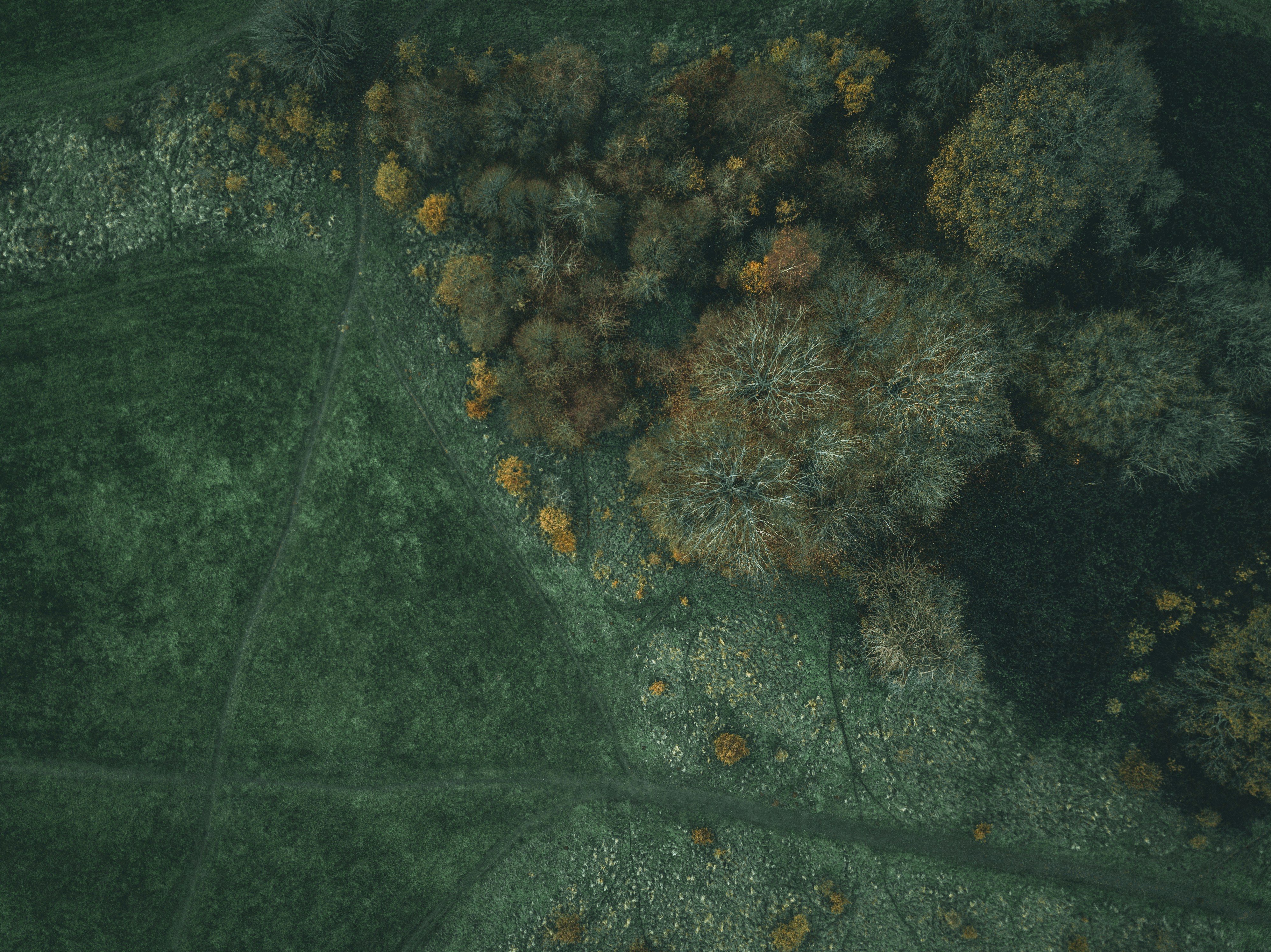 best drone  | unsplash.com