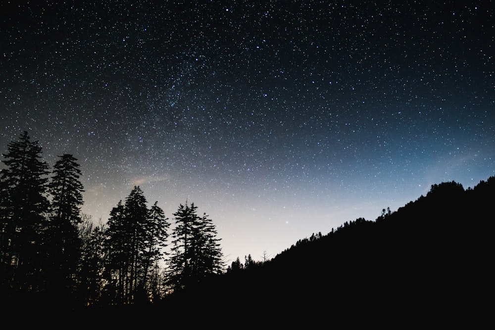 silhouette photography of trees and mountain under starry sky