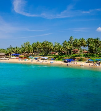 blue body of water under sunny sky