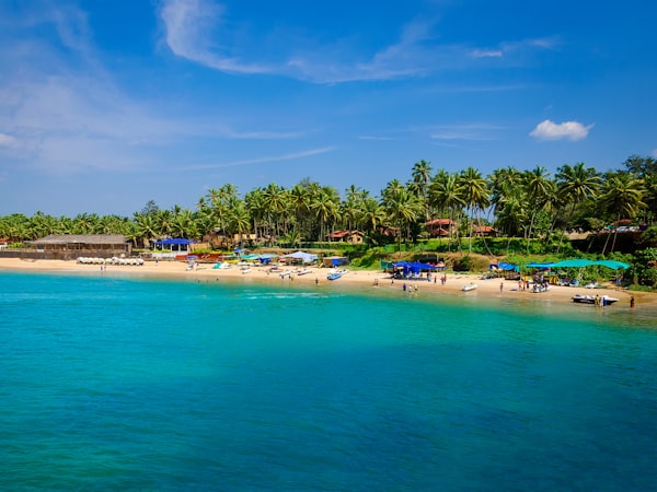 Palolem Beach golden sand with palm trees and fishing boats