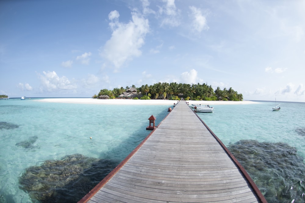 brown wooden dock under blue sky during daytime