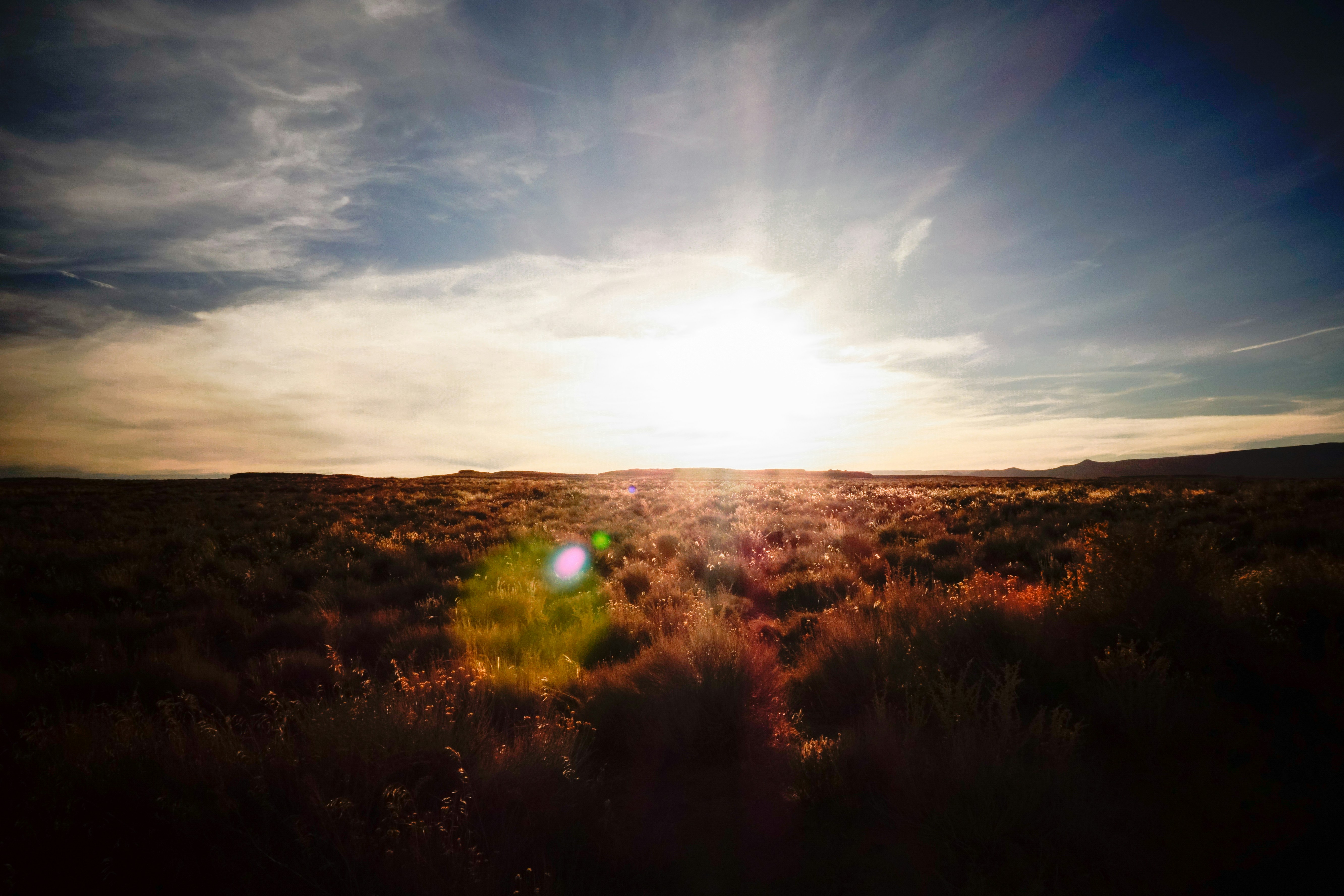 Photo by worldsbetweenlines