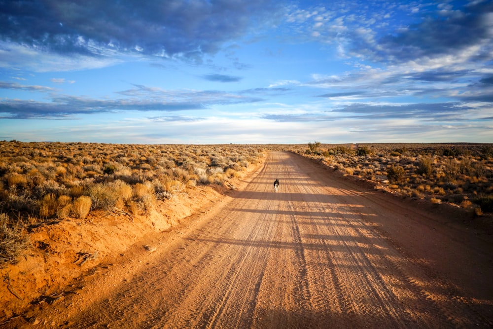 fotografia de paisagem do deserto