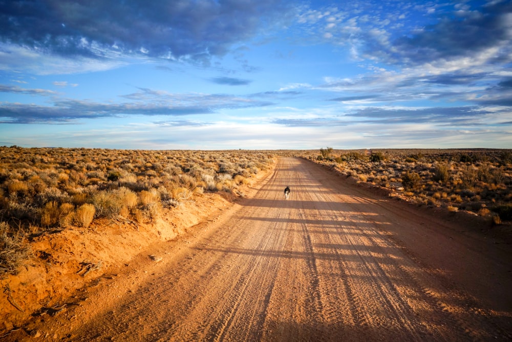 landscape photography of desert