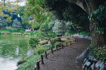 A peaceful, winding pathway surrounded by lush green trees and vegetation leads alongside a serene lake. There are small stone structures and a wooden railing bordering the path. The greenery appears vibrant and well-maintained, and the overall scene exudes tranquility.