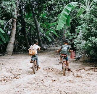 two person riding on bicycle during daytime