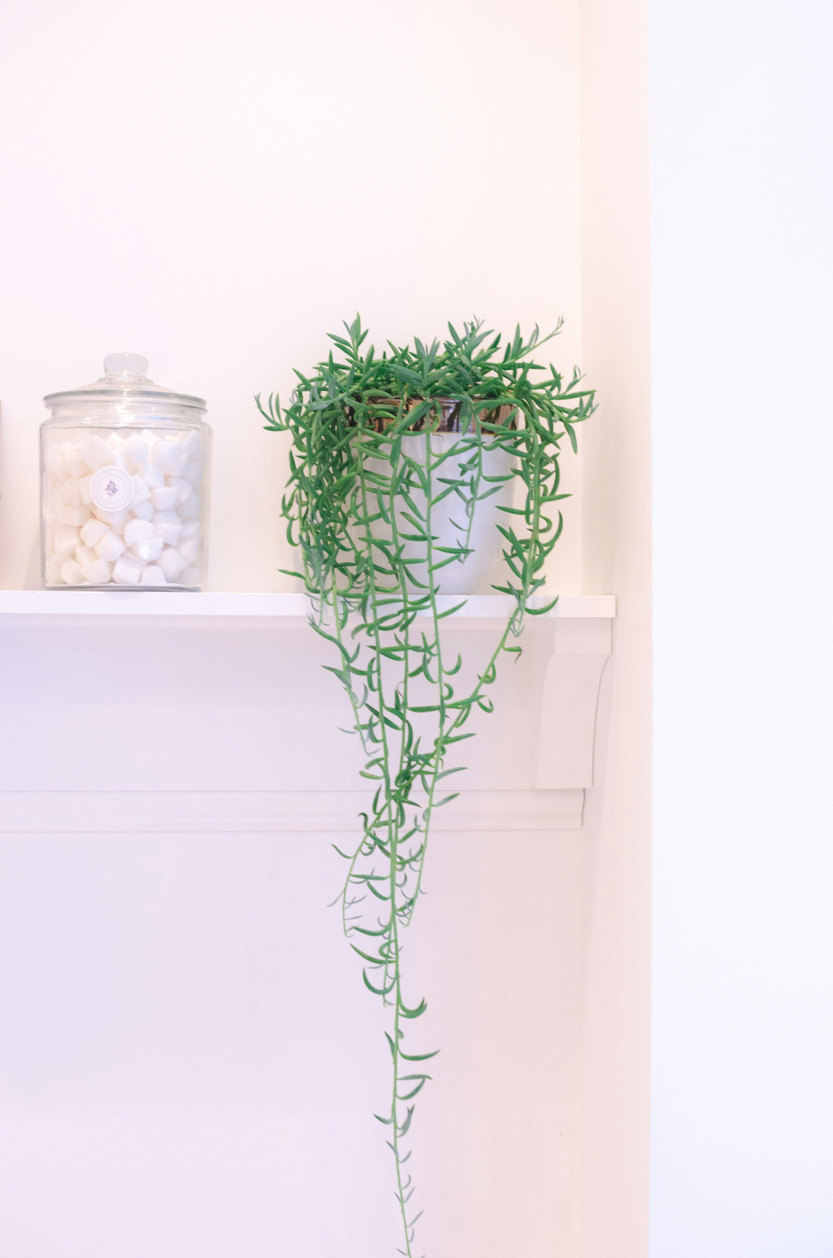 Minimalist Floating Shelf